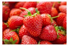 こだわり栽培　いちご　【食べ比べ】　おいCベリー（1pac) x　ゆめのか(1pac)