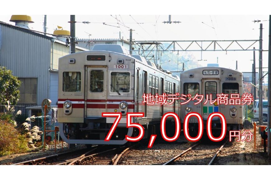 テツふる・地域デジタル商品券75,000円【寄付額270,000円】