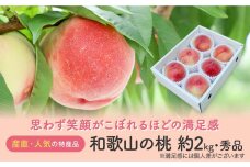 【産直・人気の特産品】和歌山の桃　約2kg・秀選品★2024年度発送★