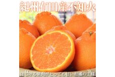 紀州有田産不知火(しらぬひ) 約５kg【2025年2月中旬以降発送】【先行予約】【UT40】