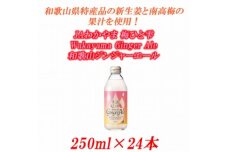 JAわかやま 生姜丸しぼり Wakayama Ginger Ale　 250ml×24本