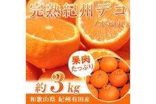 完熟紀州デコ(不知火) 約3kg　果肉プリプリ♪【2025年2月下旬以降発送】【先行予約】