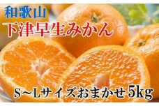 【秀品】和歌山下津早生みかん約5kg（S～Lサイズおまかせ）★2024年11月中旬頃より順次発送