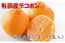 紀州有田産の大玉デコポン約5kg(12玉～15玉入り・青秀以上) 