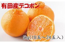 紀州有田産のデコポン約5kg(18玉～24玉入り・青秀以上)★2025年1月下旬頃より順次発送