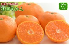 [秀品]和歌山有田みかん約3kg（S～Lサイズ混合）★2025年11月中旬頃より順次発送【TM96】