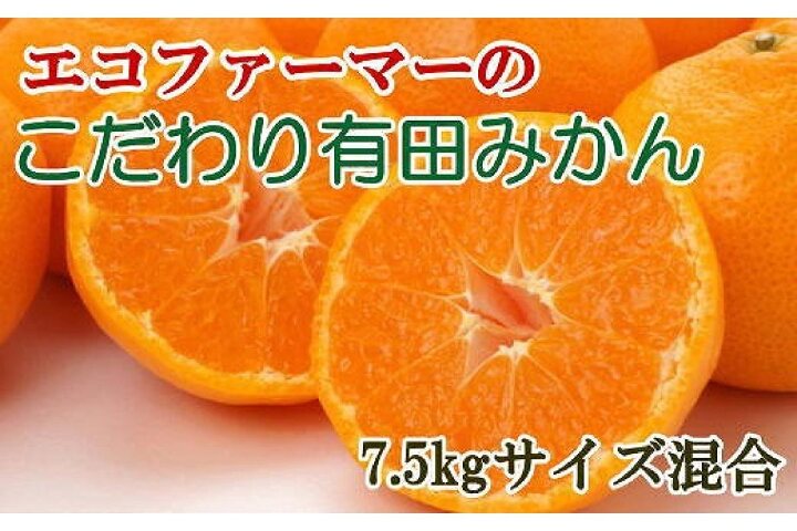 ふるさと納税 厳選 エコファーマーのこだわり有田みかん7 5kg サイズ混合 秀品 和歌山県九度山町 ふるさと納税の ふるさとぷらす