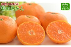 [秀品]和歌山有田みかん約5kg(MまたはLサイズ) ［TM98］