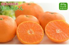 [秀品]和歌山有田みかん約5kg(SまたはMサイズ) ［TM97］