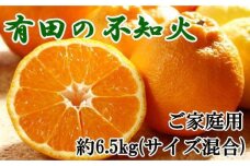 【濃厚】有田の不知火約6.5kgご家庭用向け（サイズ混合）★2025年2月上旬頃より順次発送