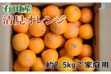 有田産清見オレンジ約7.5kg(サイズおまかせまたは混合)ご家庭用★2024年2月上旬頃より順次発送