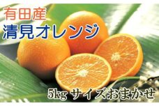 【濃厚】有田産清見オレンジ約5kg（サイズおまかせ・秀品）★2024年2月上旬頃より順次発送