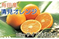 【濃厚】有田産清見オレンジ約10kg（サイズおまかせ・秀品）★2024年2月上旬頃より順次発送