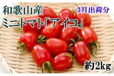 【3月出荷分】和歌山産ミニトマト「アイコトマト」約2kg（S・Mサイズおまかせ）【TM123】