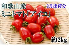 【2月出荷分】ミニトマト「アイコトマト」約2kg（S・Mサイズおまかせ）【TM110】