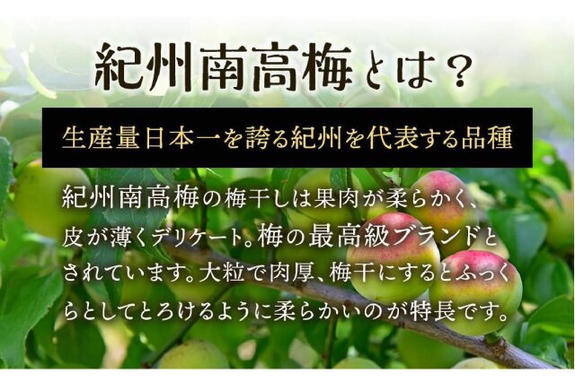 ふるさと納税 「紀州南高梅使用 はちみつうす塩味完熟梅干し 無選別1kg【TM144】」 和歌山県九度山町 - ふるさと納税の「ふるさとぷらす」