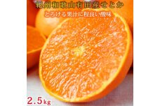 紀州有田産せとか約2.5kg【2026年2月上旬以降発送】【UT02】