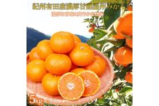 【ご家庭用訳アリ】紀州有田産濃厚完熟温州みかん　5kg【先行予約】【UT13】