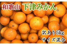 【訳あり】和歌山下津みかん約5kgご家庭用向け(サイズ混合) 【先行予約】［TM77］