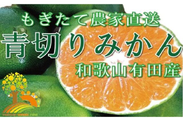 ふるさと納税 「爽やかな味わい青切りみかん約7.5kg 初秋の味覚《有機質肥料100％》ご家庭用」 和歌山県九度山町 - ふるさと納税の「ふるさと ぷらす」