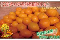 ＼農家直送／こだわりの大玉有田みかん 3Lサイズ以上約7.5kg【2024年12月より順次発送】