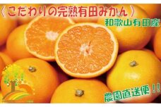 ＼農家直送／こだわりの完熟有田みかん Ｓサイズ約10kg【2024年11月中旬より順次発送】