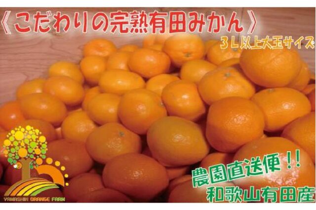 ふるさと納税 「＼農家直送／こだわりの大玉有田みかん 3Lサイズ以上約10kg」 和歌山県九度山町 - ふるさと納税の「ふるさとぷらす」