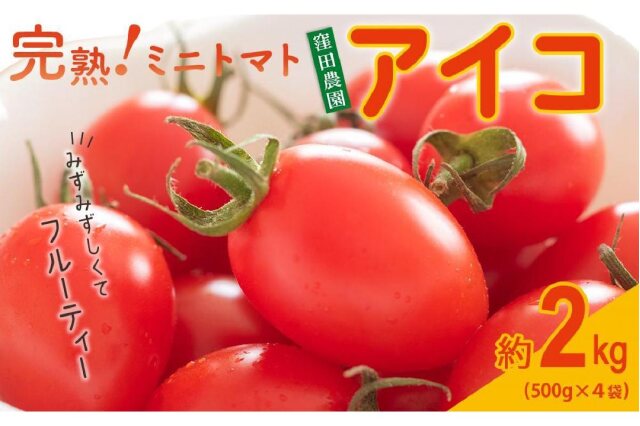 ふるさと納税 「◇先行予約◇和歌山県産《絶品》ミニトマト「アイコ
