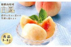和歌山県産 白鳳 桃 5～8玉入り 秀品 先行予約［2025年6月下旬以降発送］［MG6］