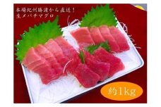 生まぐろの本場紀州勝浦から直送！　生メバチマグロ 約1kg