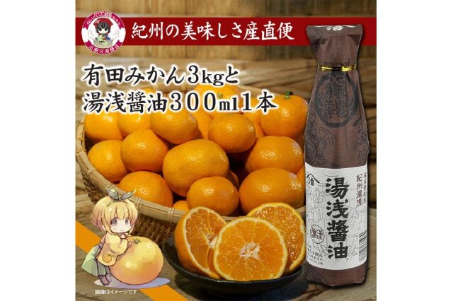 ふるさと納税 「有田みかん約3ｋｇ【秀品】と湯浅醤油300ml×1本」 和歌山県九度山町 - ふるさと納税の「ふるさとぷらす」