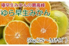 【極早生みかんの逸品】和歌山県産ゆら早生みかん約5kg【TM120】