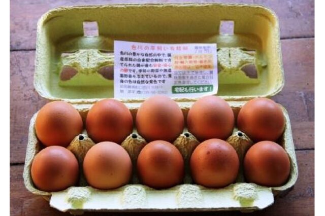 0円 新作グッ ふるさと納税 国産飼料にこだわった鶏が産む安全安心の レモン色たまご 1パック 10個入り ×3 和歌山県九度山町 0円 新作グッ ふるさと納税 国産飼料にこだわった鶏が産む安全安心の レモン色たまご 1パック 10個入り ×3 和歌山県九度山町