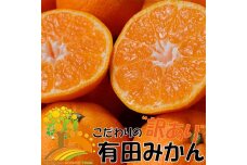 【訳あり】有田みかん 約5kg【2024年10月下旬より順次発送】