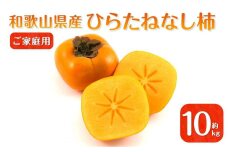 ◆先行予約◆和歌山県産 平核無柿＜ご家庭用＞約10kg【2024年10月上旬以降発送】