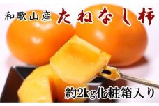 【秋の味覚】和歌山産のたねなし柿2L～4Lサイズ約2kg化粧箱入り★2023年9月末頃より順次発送