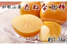 和歌山産たねなし柿（サイズおまかせ）約7.5kg・秀品★2024年10月頃より順次発送【TM10】