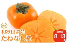 ふるさと納税 和歌山県九度山町（わかやまけんくどやまちょう