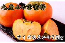 ≪柿の名産地≫九度山の富有柿約7.5kgサイズおまかせ★2025年11月上旬頃より順次発送【TM2】