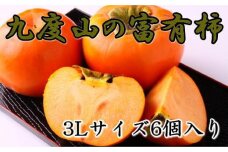 【数量限定】≪厳選・産直≫九度山町の富有柿3Lサイズ6個入り★2025年11月中旬頃より順次発送