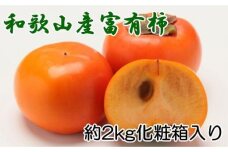 ［厳選・産直］和歌山産の富有柿約2kg（化粧箱入り）（2L～4Lサイズ）