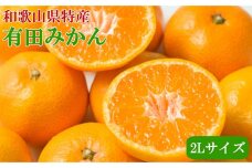 [秀品]和歌山有田みかん約4kg(2Lサイズ) ★2025年11月中旬頃より順次発送［TM199］