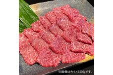 熊野牛 希少部位 カイノミまたはササミ 焼肉用 約500g【MT41】