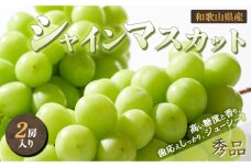 ◆先行予約◆和歌山県産 シャインマスカット 2房入り〈秀品〉【2024年8月中旬以降出荷】