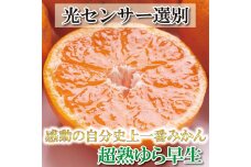 厳選 超熟有田みかん3kg+90g（傷み補償分）＜2024年11月より発送＞