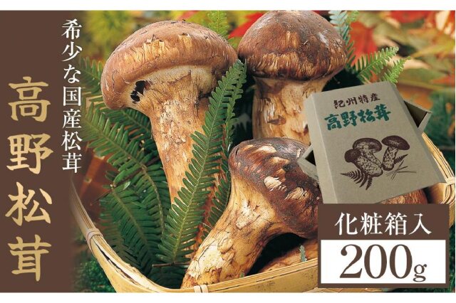 ふるさと納税 「【2024寄付分】希少な国産松茸「高野松茸」200g 香り・歯応え・味ともに最高級！【化粧箱入】」 和歌山県九度山町 -  ふるさと納税の「ふるさとぷらす」