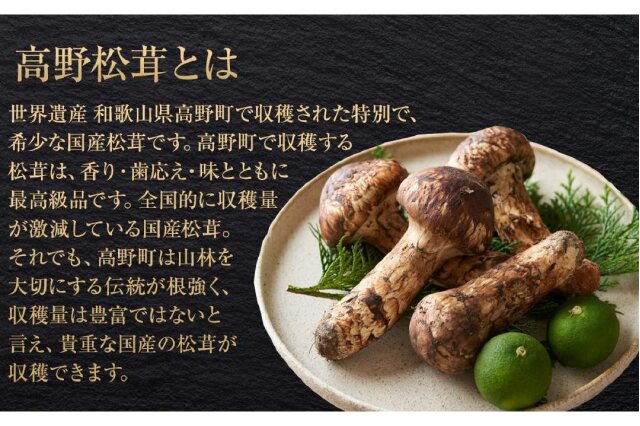 ふるさと納税 「［2026年発送分］希少な国産松茸「高野松茸」200g 香り