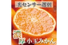 家庭用 小玉な有田みかん4.5kg+135g（傷み補償分）訳あり＜11月より発送＞