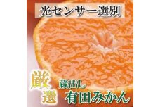 ＜1月より発送＞厳選 蔵出みかん5kg+150g（傷み補償分）