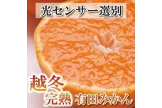 ＜1月より発送＞家庭用 越冬完熟みかん5kg+150g（傷み補償分）訳あり